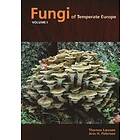 Thomas Laessoe, Jens H Petersen: Fungi of Temperate Europe