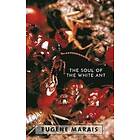 Eugene N Marais: The Soul of the White Ant