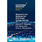 Garrett P Wheeler: Beyond Li-ion Batteries for Grid-Scale Energy Storage