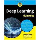 JP Mueller: Deep Learning For Dummies