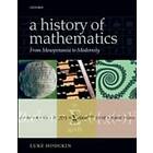 Luke Hodgkin: A History of Mathematics