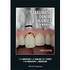J Andreasen: Traumatic Dental Injuries A Manual 3e