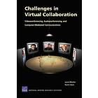 Lynne Wainfan, Paul Davis: Challenges in Virtual Collaboration