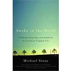 Michael Stone: Awake in the World