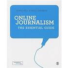 Steve Hill: Online Journalism