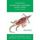 Baljit Singh: Veterinary Anatomy Flash Cards