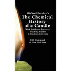 William S Hammack, Donald J DeCoste: Michael Faraday's The Chemical History of a Candle