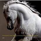 Cynthia Culbertson, Nasr Marei: The Arabian Horse of Egypt