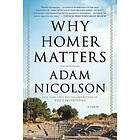 Adam Nicolson: Why Homer Matters