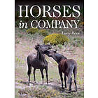 Lucy Rees: Horses in Company