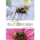 Richard Comont: RSPB Spotlight Bumblebees