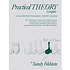 Sandy Feldstein: Practical Theory, Complete