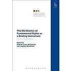 Professor Sybe de Vries, Professor Ulf Bernitz, Professor Stephen Weatherill: The EU Charter of Fundamental Rights as a Binding Instrument