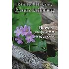 Jeff A Benner: Biblical Hebrew Picture Dictionary