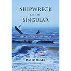 David Healy: Shipwreck of the Singular