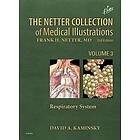 David Kaminsky: The Netter Collection of Medical Illustrations: Respiratory System