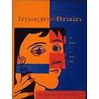 Stephen M Kosslyn: Image And Brain