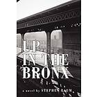 Stephen Baum: Up in the Bronx