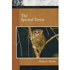 Sharon L Gursky: The Spectral Tarsier