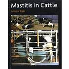 Andrew Biggs: Mastitis In Cattle