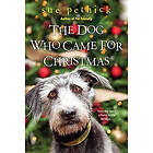 Sue Pethick: The Dog Who Came for Christmas