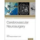 Peter Nakaji: Cerebrovascular Neurosurgery