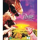 Babe 1 (Blu-ray)