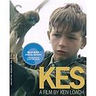 Kes - Criterion Collection (US) (Blu-ray)