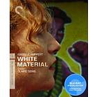 White Material - Criterion Collection (US) (Blu-ray)