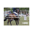 Katharyn Mitchell: ECG Interpretation in Equine Practice