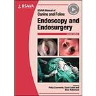 P Lhermette: BSAVA Manual of Canine and Feline Endoscopy Endosurgery, 2nd Edition