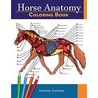Anatomy Academy: Horse Anatomy