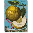 Iris Lauterbach, Taschen: J. C. Volkamer. Citrus Fruits