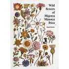 Elspeth Beckett: Wild flowers of Majorca Minorca and Ibiza