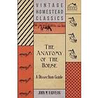 John M'Fadyean: The Anatomy of the Horse A Dissection Guide
