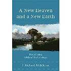 J Richard Middleton: New Heaven And A Earth Reclaiming Biblical Eschatology