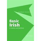Nancy Stenson: Basic Irish: A Grammar and Workbook