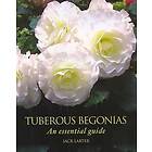 Jack Larter: Tuberous Begonias
