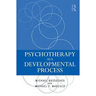 Michael Basseches, Michael F Mascolo: Psychotherapy as a Developmental Process