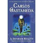 Carlos Castaneda: A Separate Reality