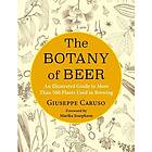 Giuseppe Caruso: The Botany of Beer