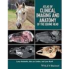L Kimberlin: Atlas of Clinical Imaging and Anatomy the Equine Head