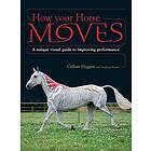 Gillian Higgins, Stephanie Martin: How Your Horse Moves