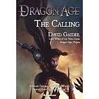 David Gaider: Dragon Age The Calling