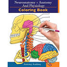 Clement Harrison: Neuroanatomy Anatomy and Physiology Coloring Book