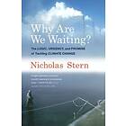 Nicholas Stern: Why Are We Waiting?