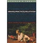 Stephen Turner: Brains/Practices/Relativism