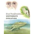 Kenneth P Dial: Great Transformations in Vertebrate Evolution