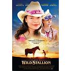 The Wild Stallion (DVD)
