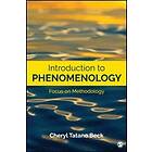 Cheryl Tatano Beck: Introduction to Phenomenology